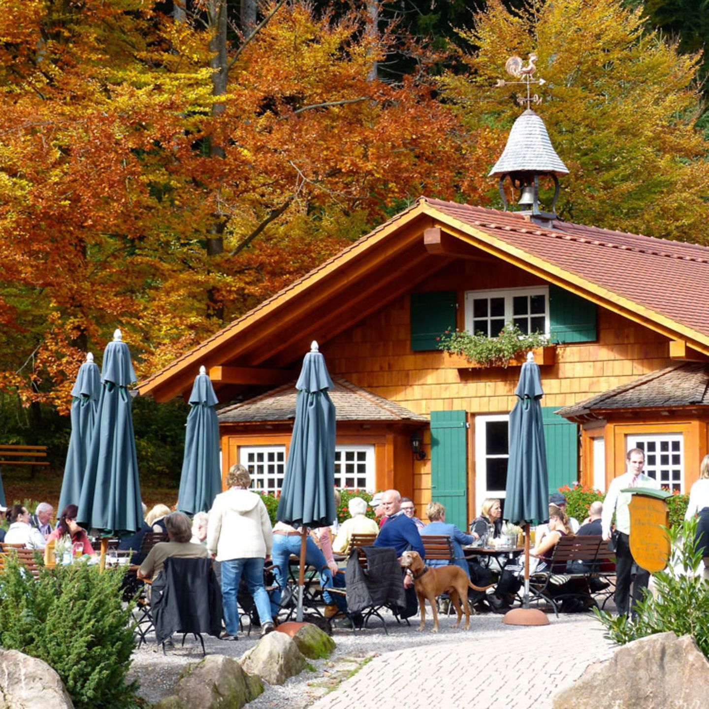 Schwarzwald: Satteleihütte