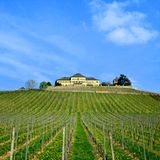 Rheingau: Schloss Johannisberg