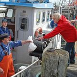 Ostsee: Fisch vom Kutter