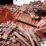 Basel: Schokolade selbst herstellen