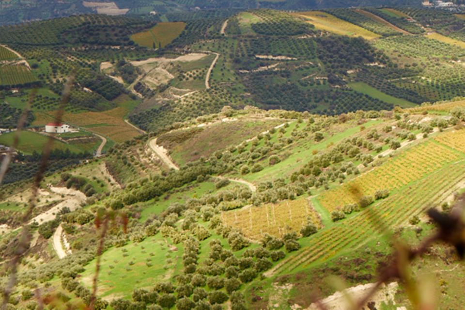 Wine&Nature Wine&Nature