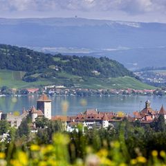 Murtensee und Vully