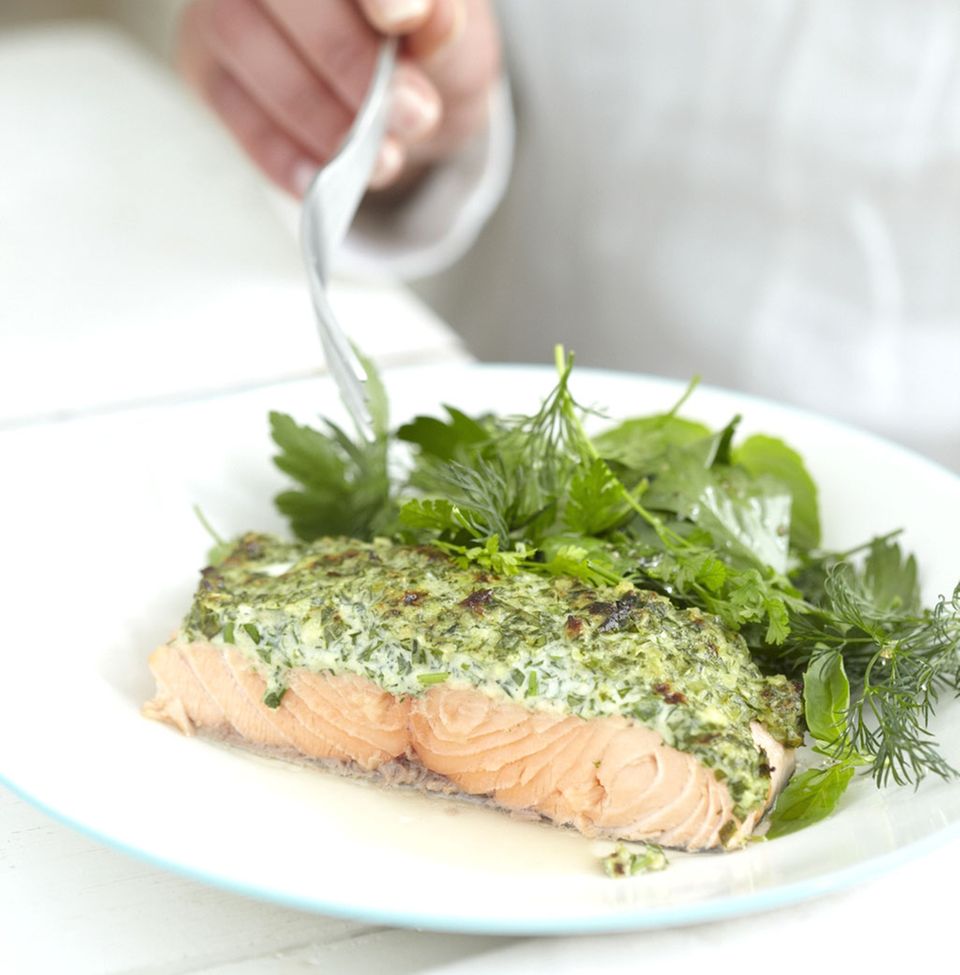 Frische Frühlingskräuter würzen Fisch, Fleisch und Gemüse Frische Frühlingskräuter würzen Fisch, Fleisch und Gemüse