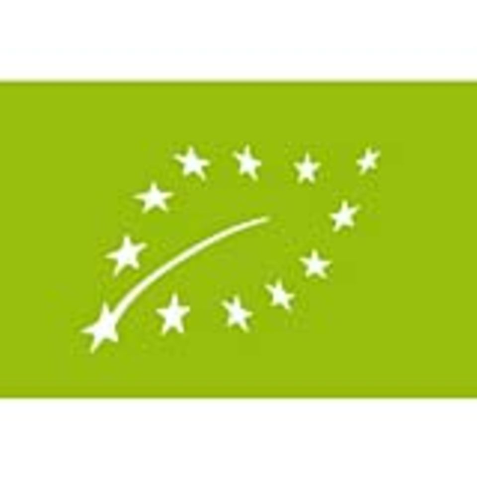 Das "Euro-Blatt" Das "Euro-Blatt"