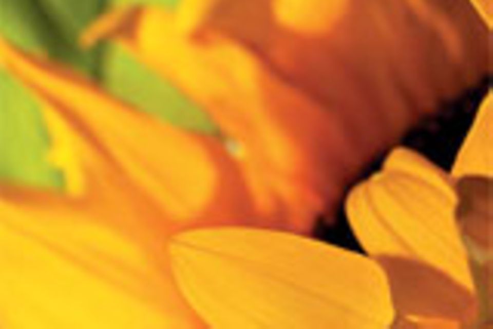 BioFach-Messe in Nürnberg.