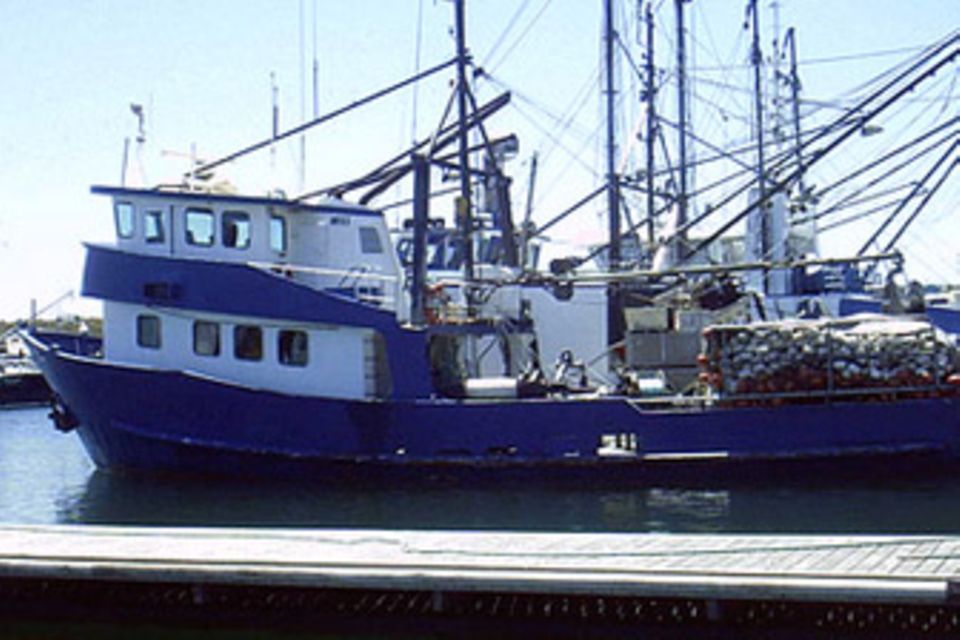 Boote für den Tunfischfang Boote für den Tunfischfang