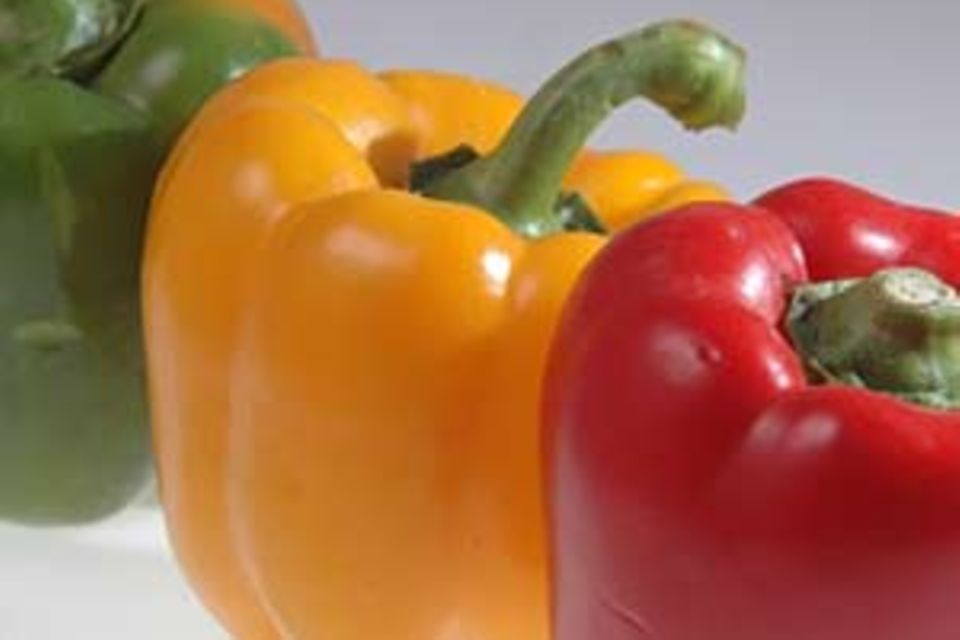 Stop oder Go für gesunde Ernährung?