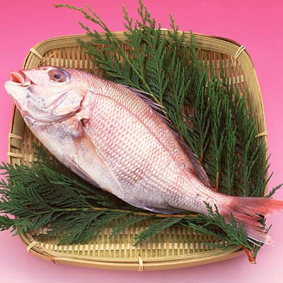 Followfisch: Mit dem Fisch auf Du und Du. Followfisch: Mit dem Fisch auf Du und Du.