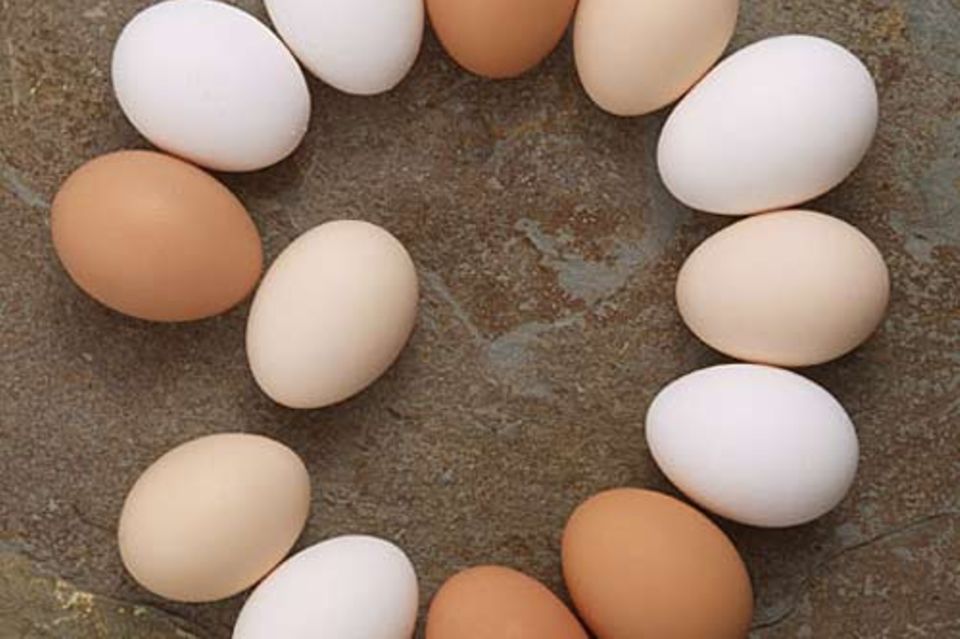 In NRW wurden mit Dioxin verseuchte Eier gefunden