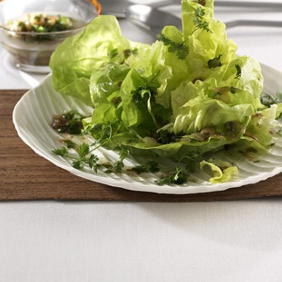 Kopfsalat mit Kerbel Kopfsalat mit Kerbel