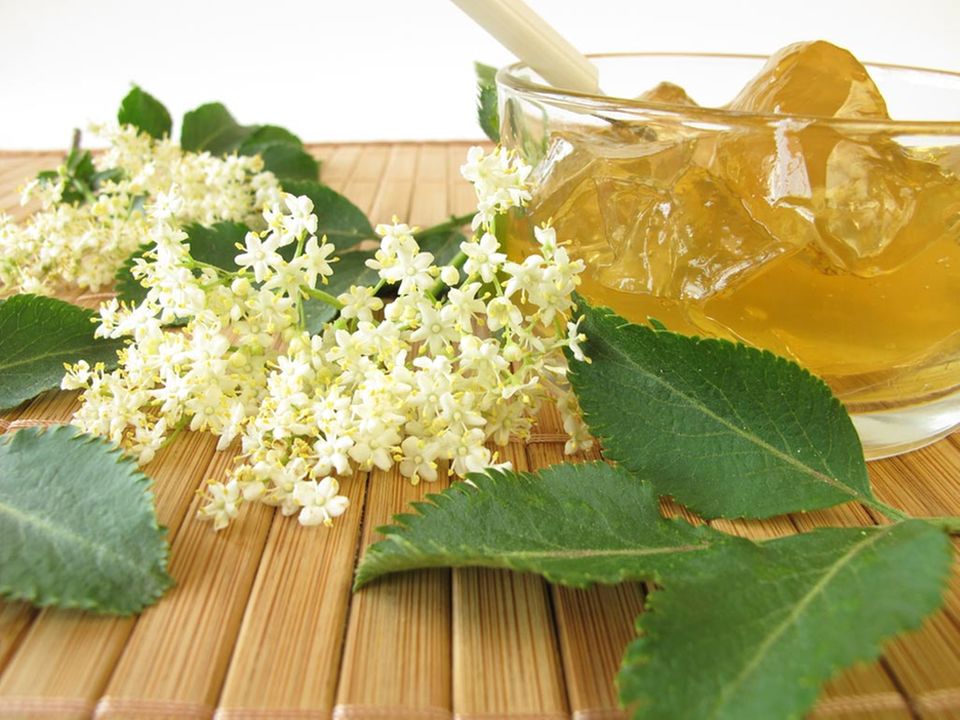Selbst gemachtes Holunderblütengelee Selbst gemachtes Holunderblütengelee