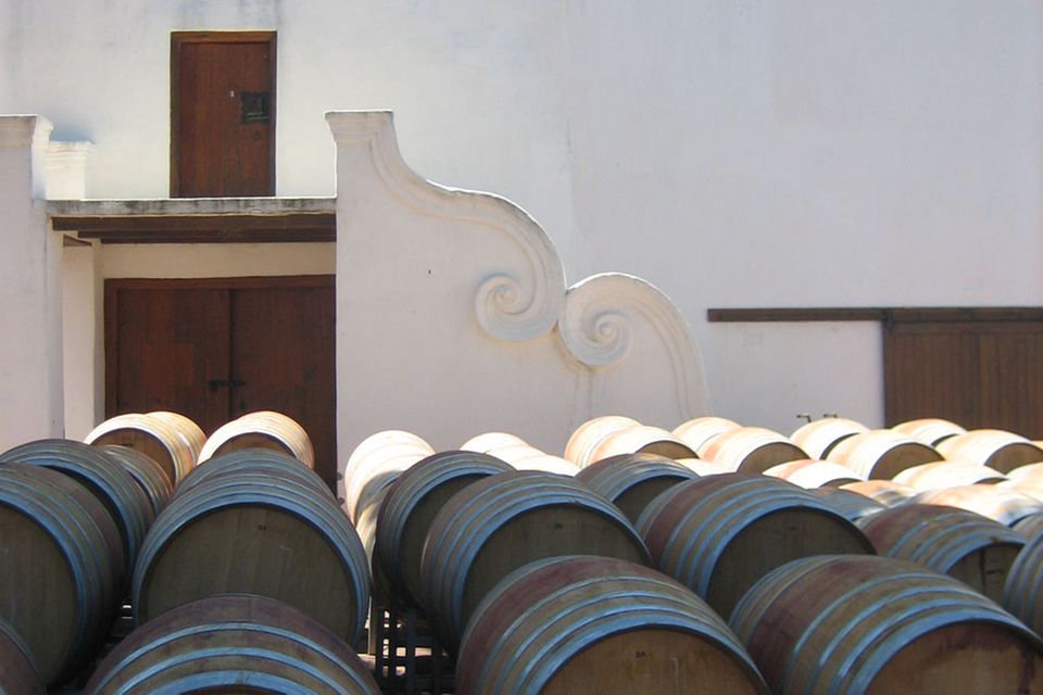 In Holzfässern ruht der köstliche Wein südafrikanischer Weingüter.