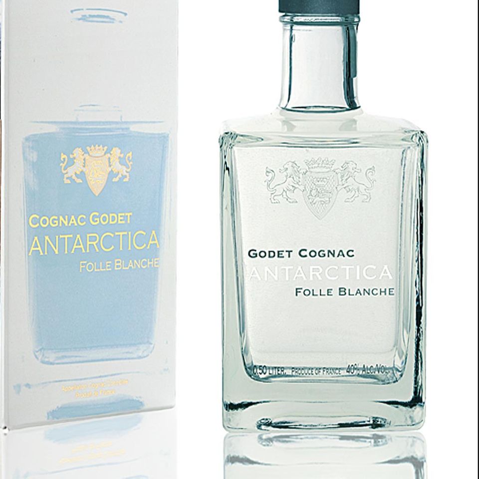 Godet Antarctica Cognac Godet Antarctica Cognac