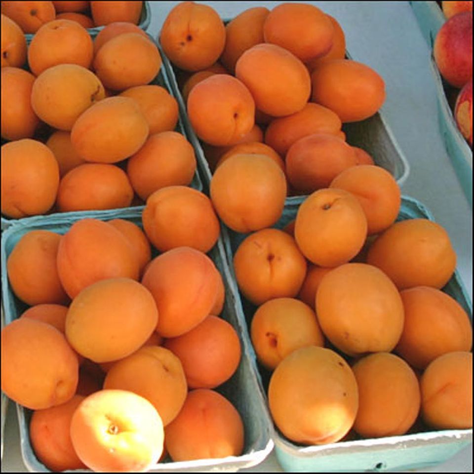 Aprikosen auf dem Markt Aprikosen auf dem Markt