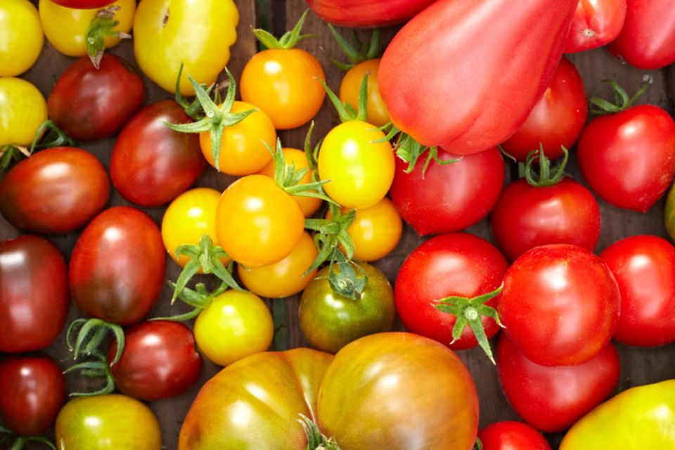 Schon gewusst? Das wassersparendste Lebensmittel ist die Tomate.