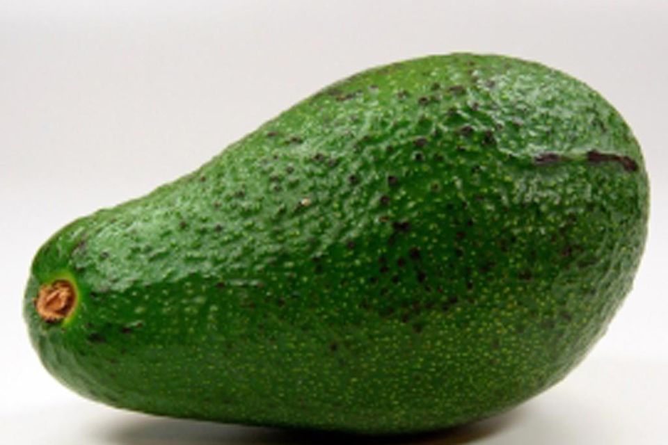 Avocado: gehaltvoll und gesund