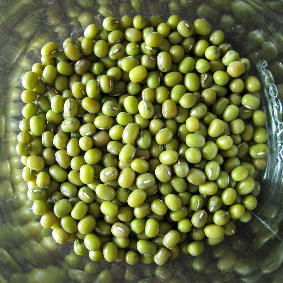 Mungobohnen schmecken mild und dezent Mungobohnen schmecken mild und dezent