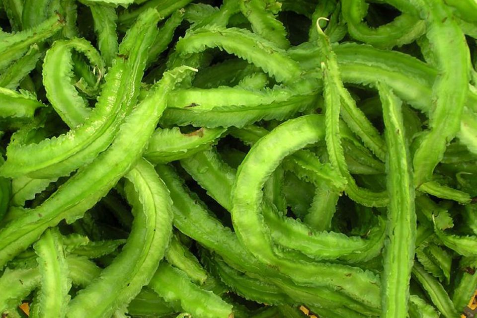 Goabohnen Schoten sind ein beliebtes Wok-Gemüse