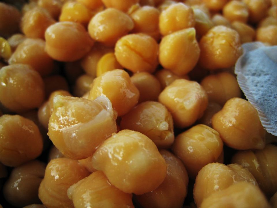 Kichererbsen Samen Kichererbsen Samen