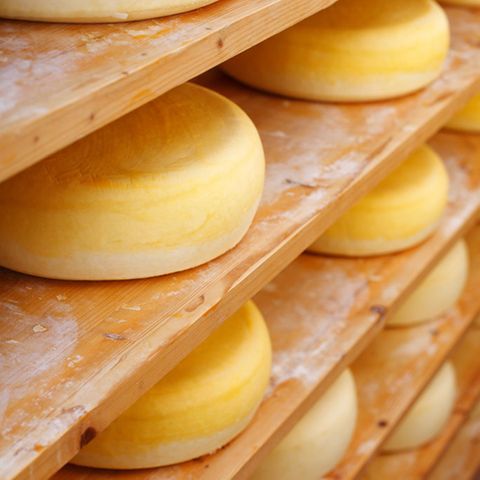 Gouda ist ein Schnittkäse und reift zwischen drei Wochen und drei Jahren