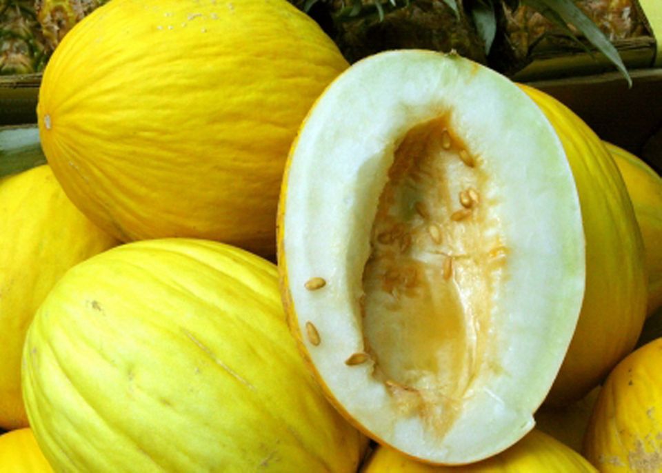 Honigmelone [ESSEN UND TRINKEN]