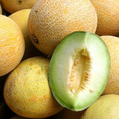 Melone: Rezepte und Tipps - [ESSEN UND TRINKEN]