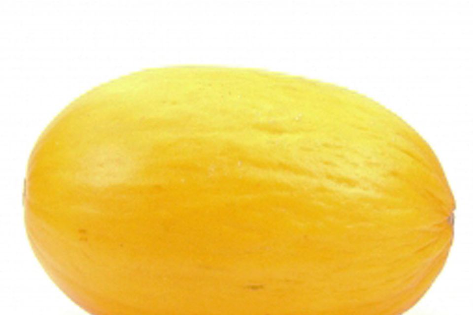 Gelbe Zuckermelone: Honigmelone