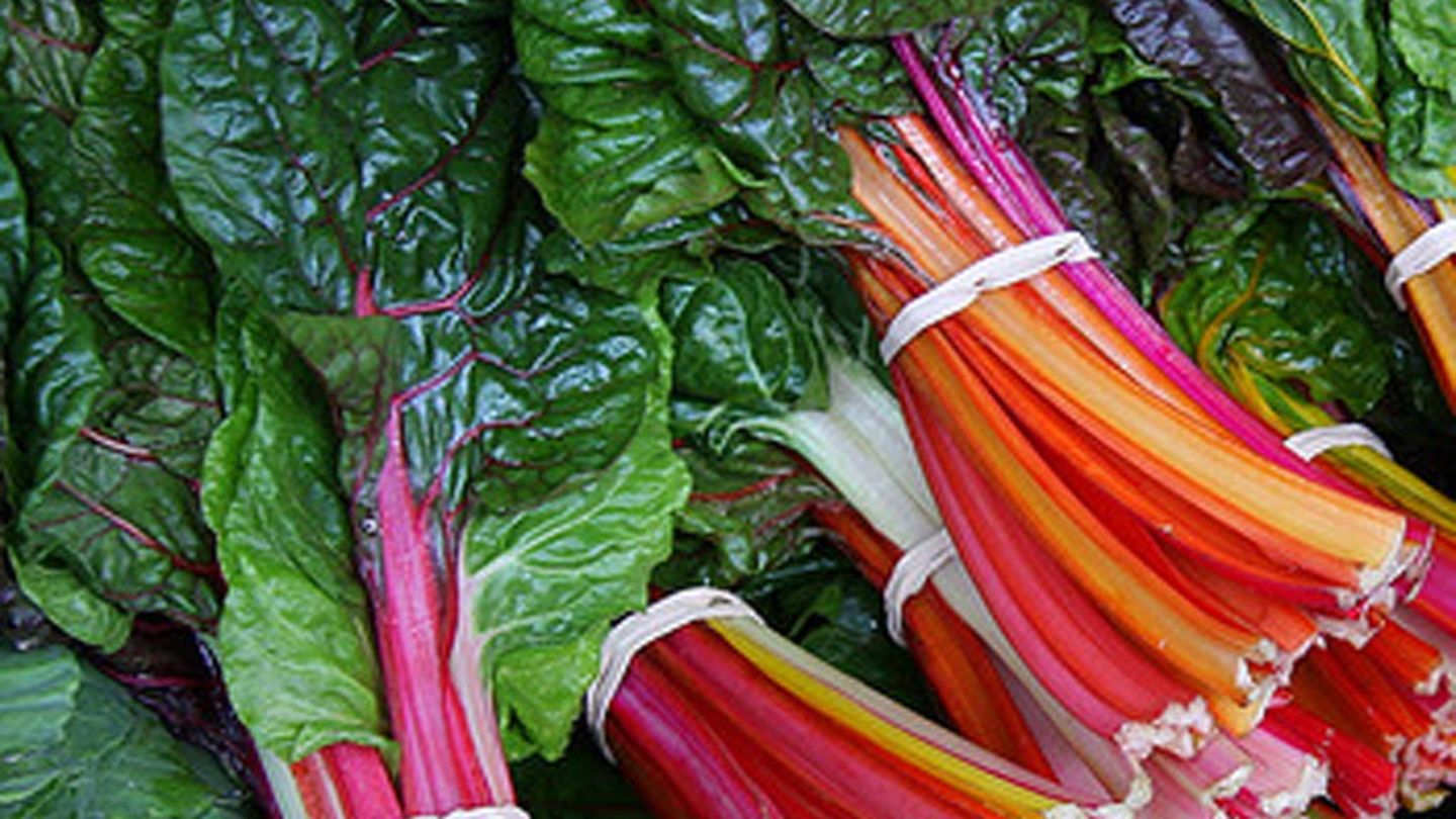 Mangold Warenkunde Und Zubereitungs Tipps Essen Und Trinken