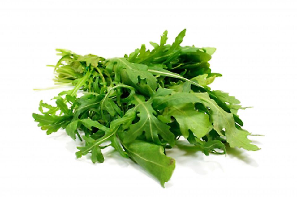 Rucola eignet besonders gut als Garnitur Rucola eignet besonders gut als Garnitur