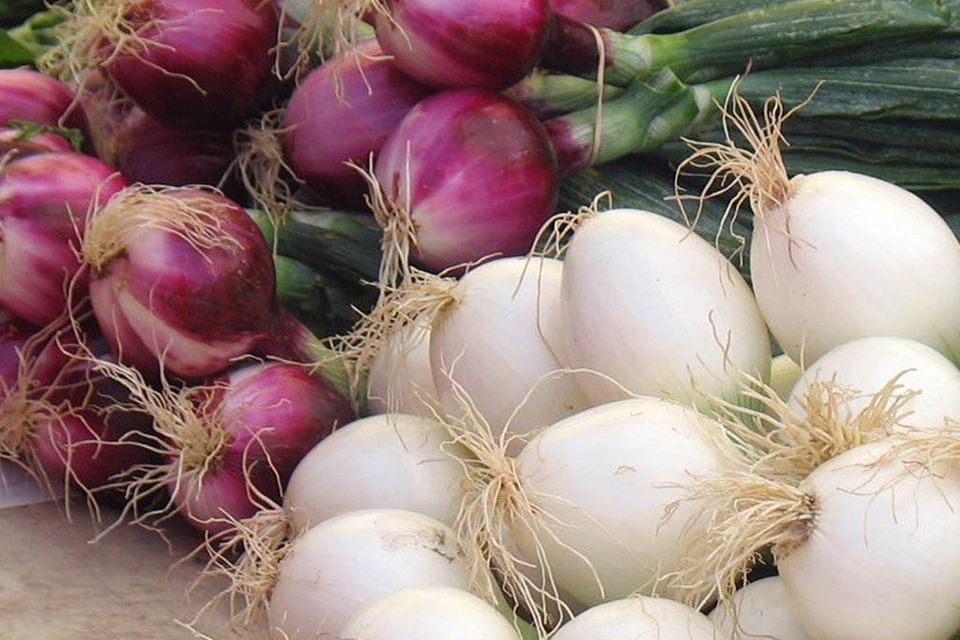 Kochen für Anfänger: Zutaten-Vorrat nach Geschmack Kochen für Anfänger: Zutaten-Vorrat nach Geschmack