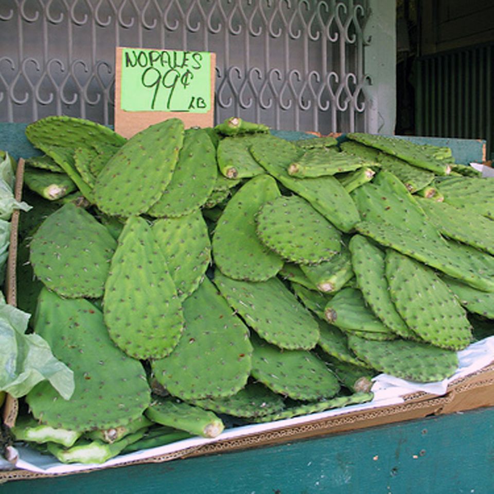 Nopales auf dem Markt Nopales auf dem Markt