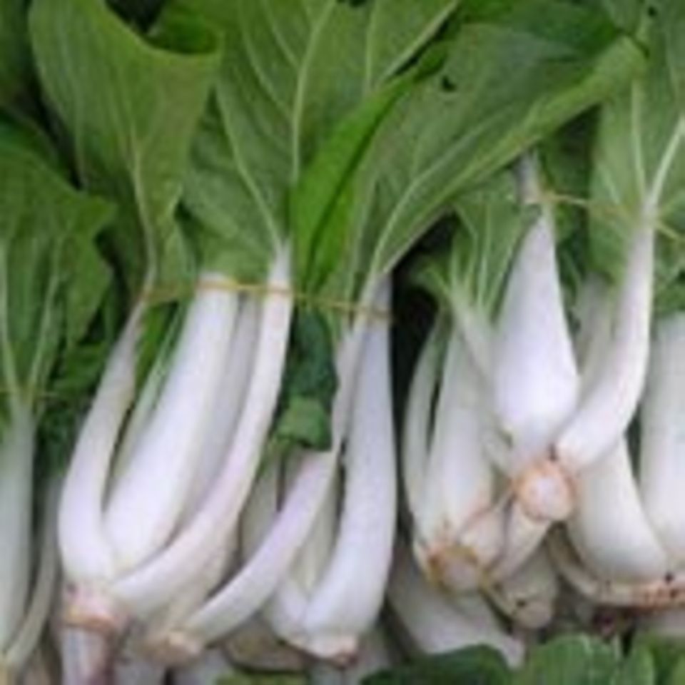Pak Choi