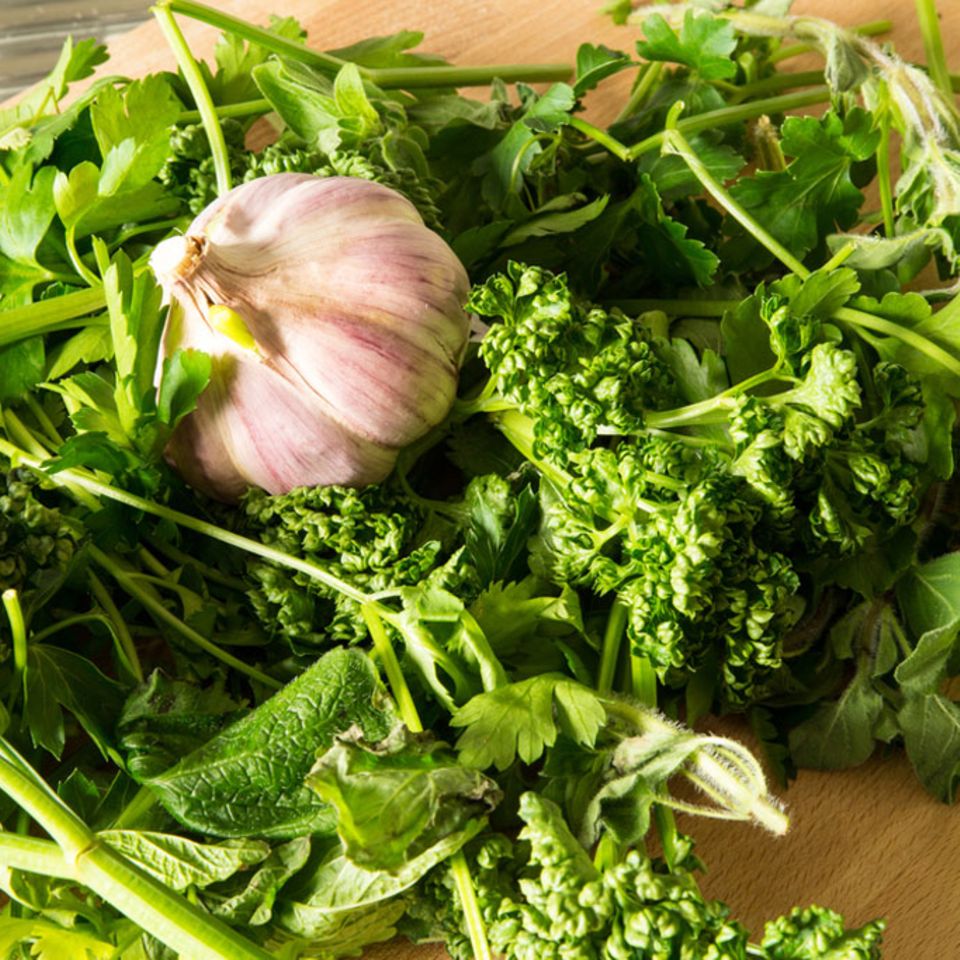 Petersilie, Dill und Schnittlauch sind typische Kräuter in der Küche