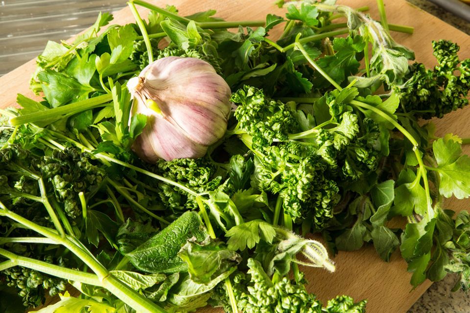 Petersilie, Dill und Schnittlauch sind typische Kräuter in der Küche Petersilie, Dill und Schnittlauch sind typische Kräuter in der Küche