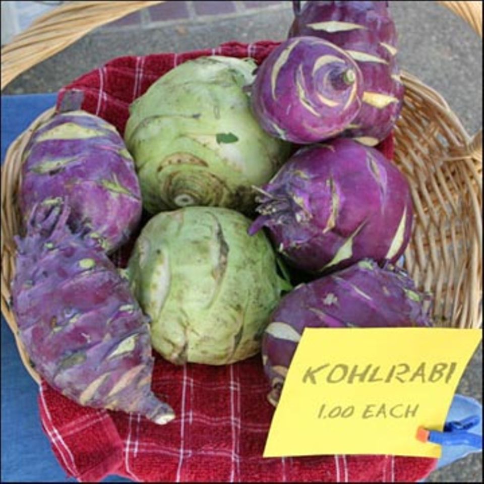 Kohlrabi: Rezepte und Tipps - [ESSEN UND TRINKEN]