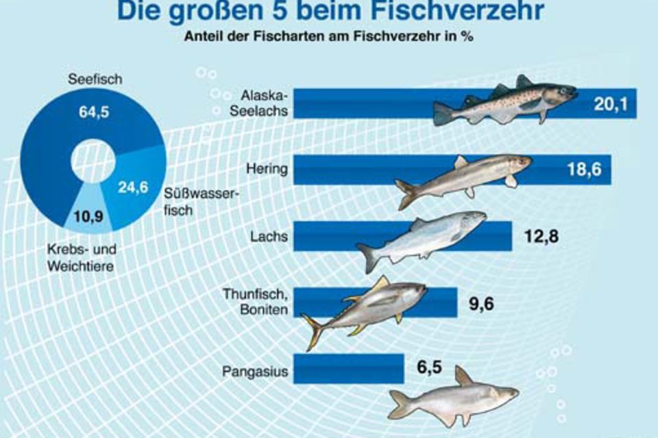 Fischverbrauch: Alaska-Seelachs steht an 1. Stelle