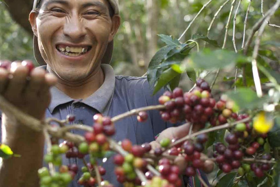 Fair Trade-Kaffeebauer aus Peru