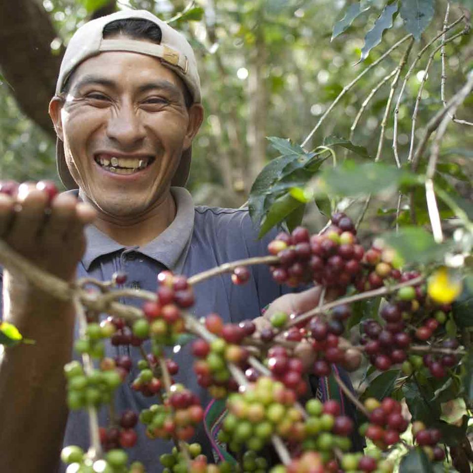 Fair Trade-Kaffeebauer aus Peru Fair Trade-Kaffeebauer aus Peru