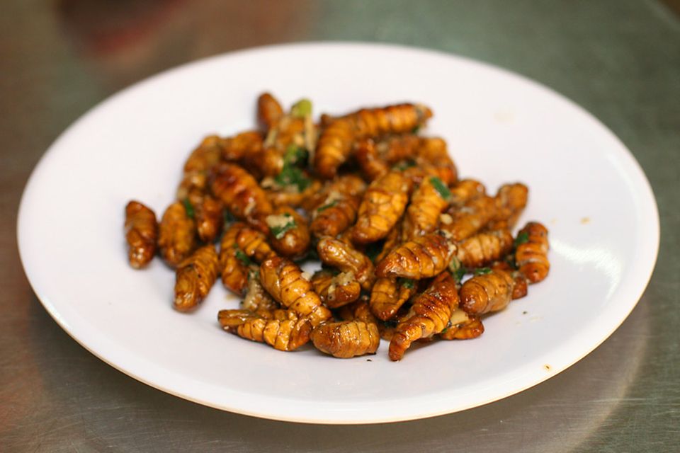Frittierte Seidenraupen: ein Snack der Fujian Küche mit vielen Proteinen Frittierte Seidenraupen: ein Snack der Fujian Küche mit vielen Proteinen