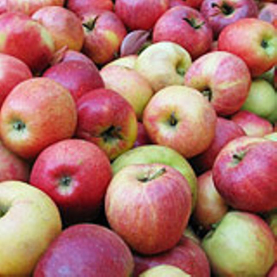 Äpfel sind eine Quelle für das Bindemittel Pektin Äpfel sind eine Quelle für das Bindemittel Pektin