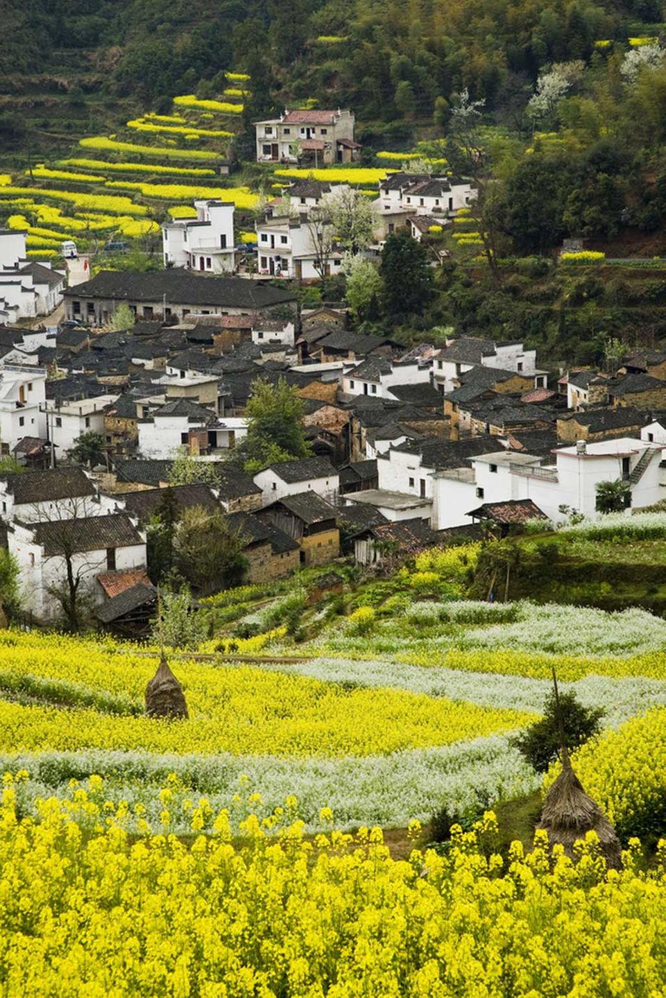 Dorf in der Provinz Anhui Dorf in der Provinz Anhui