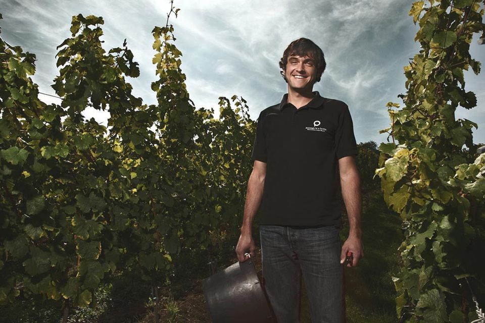 Stefan Winter in seinem Weinberg in Dittelsheim