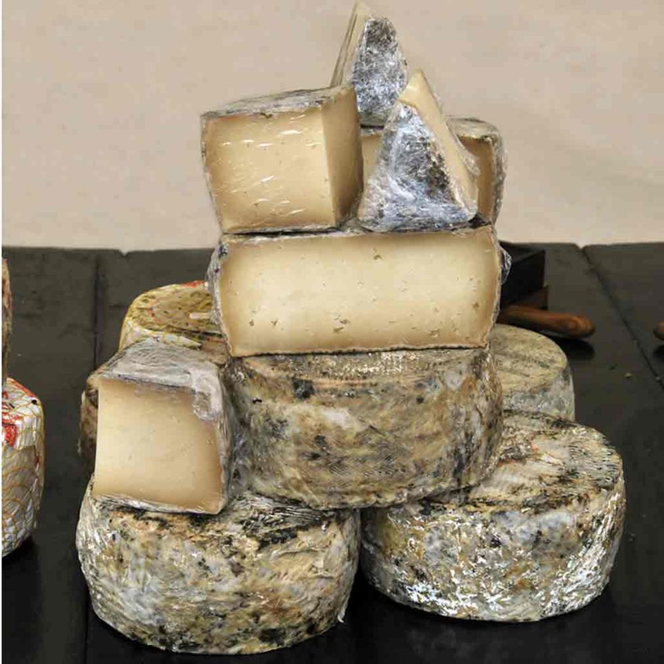 Manchego: Rezepte und Tipps