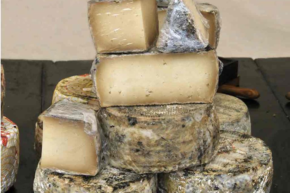 Manchego Käse aus Schafmilch