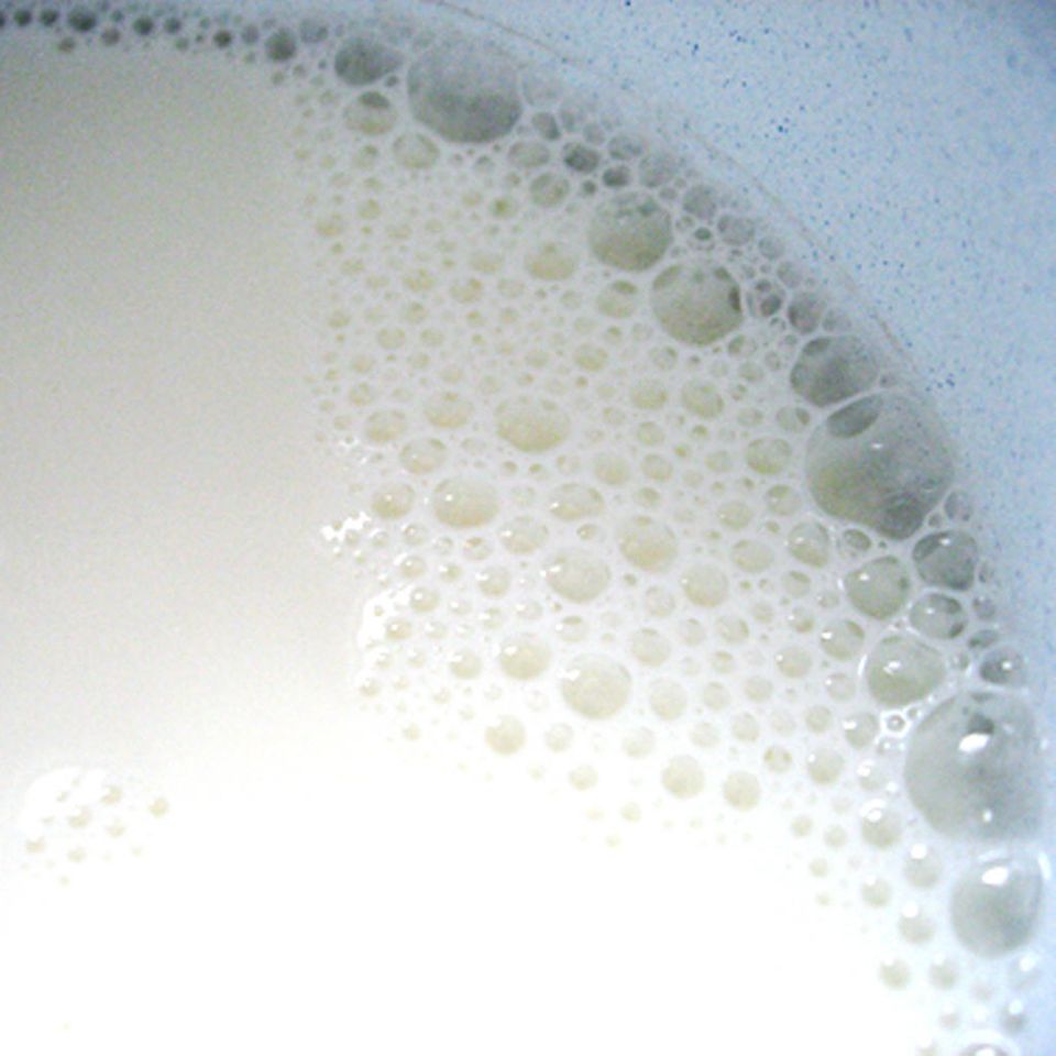 Die Basis für Sahne: Milch Die Basis für Sahne: Milch