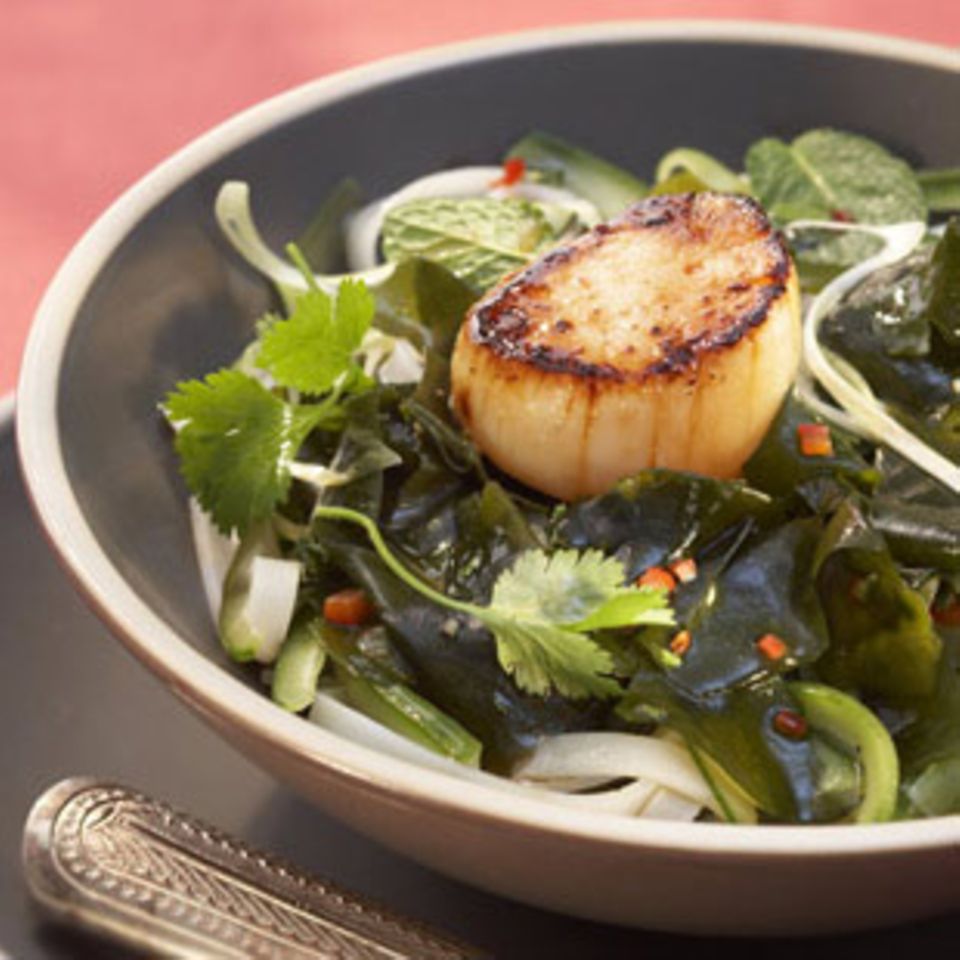 Jacobsmuschel auf Algensalat Jacobsmuschel auf Algensalat