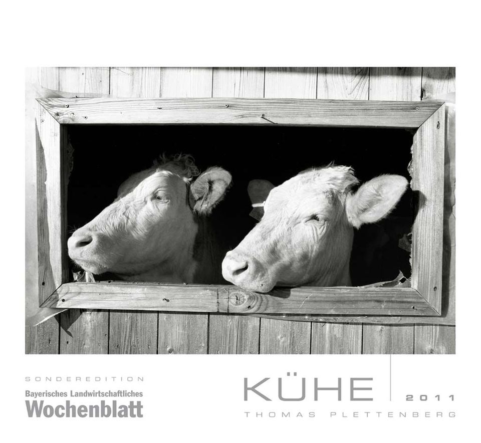 Der Kalender Kühe 2011 Der Kalender Kühe 2011