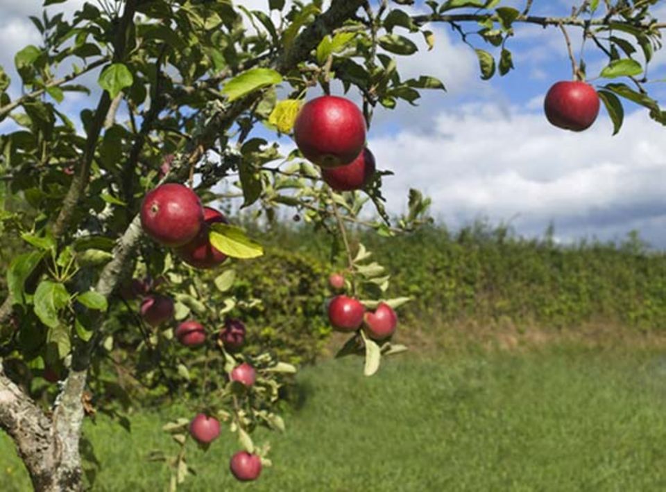 Natur erleben, Natur genießen Natur erleben, Natur genießen