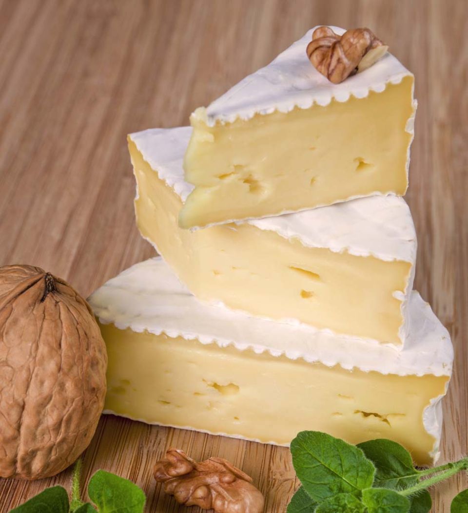 Camembert mit Weißschimmel. Camembert mit Weißschimmel.