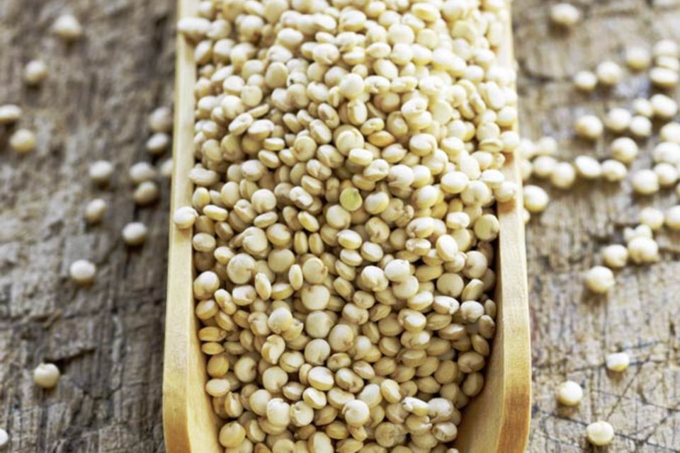 Wird immer beliebter: Quinoa, das die Inka schon zubereitet haben